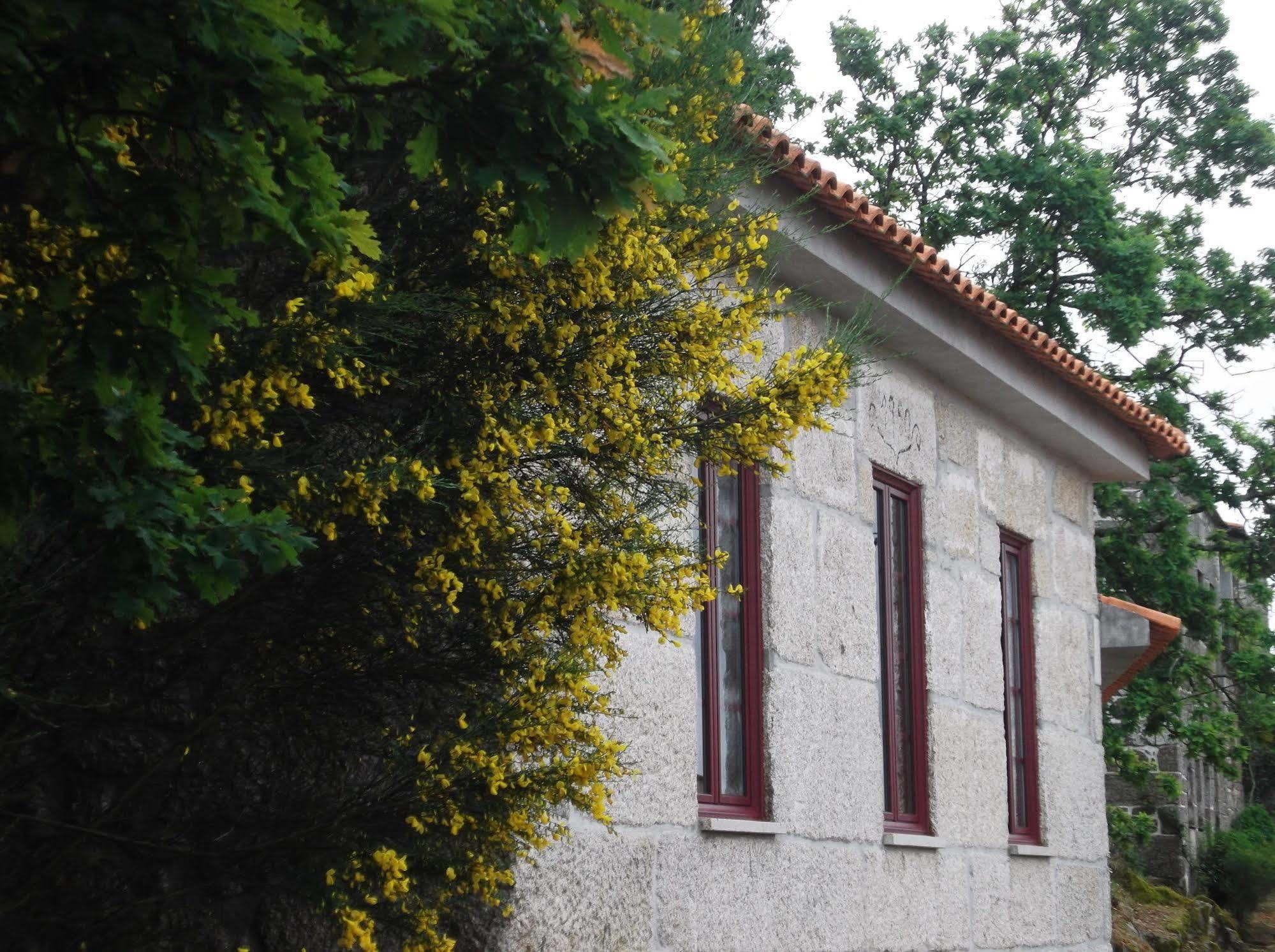 Casa Do Tear Villa Macieira de Alcoba Eksteriør bilde